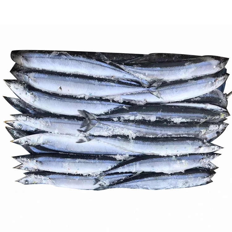
2021 new Wholesale frozen seafood whole pacific saury price for sale frozen pacific saury w/r 
