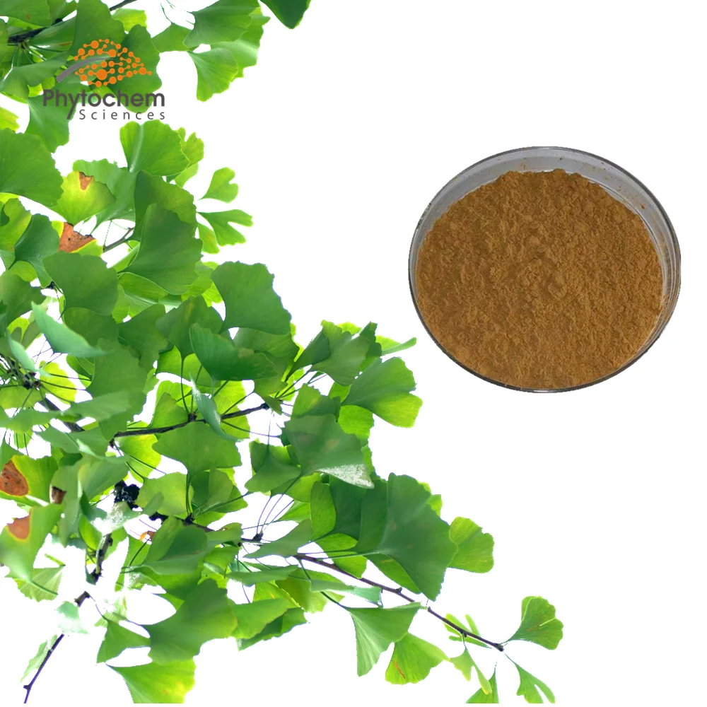 High Quality ginkgoflavon glycosides powder ginkgo biloba extract Ginkgo Leaf Extract