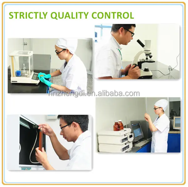 Plant extract 100% pure green tea leaf extract powder