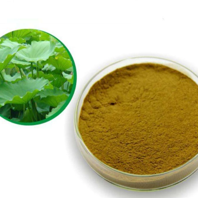 
Free Sample Provided Lotus Leaf Extract Powder 2% 98% Nuciferine HPLC 