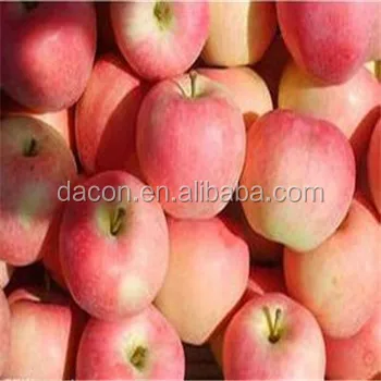 
supply apple pulp 