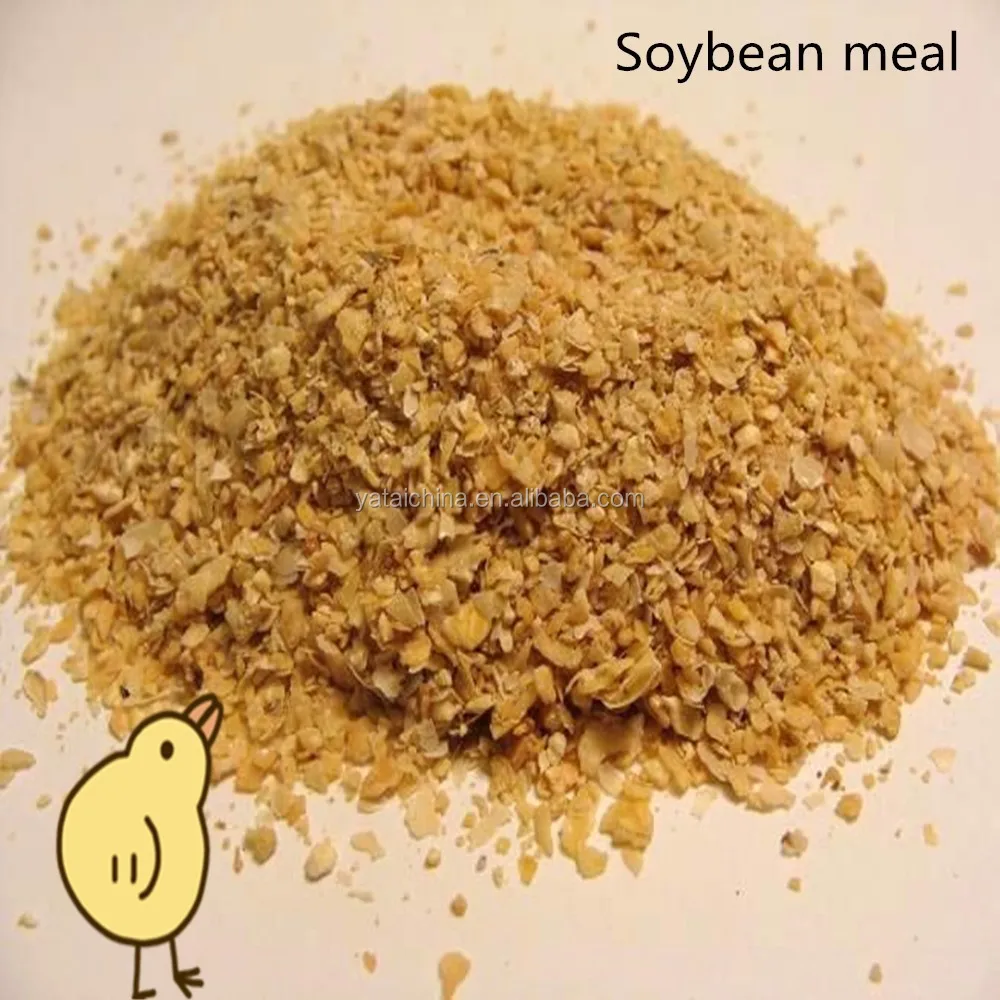 
soyabean meal export from china 