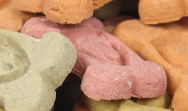 Fish bone shape biscuits Dog food Pet treat pet food OEM