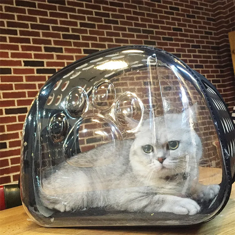 Transparent Pet Carrier Travel Bag for Small Dogs and Cats, Foldable Pet Travel Kennel Portable Pet Carry Handbag
