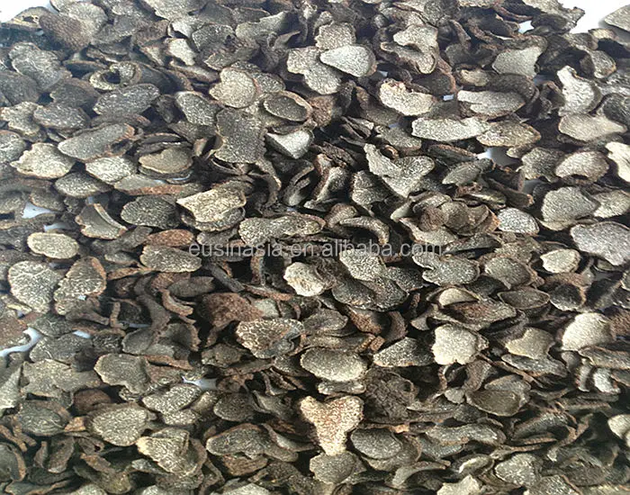 Half-Matured  black truffle from 2021 New crop