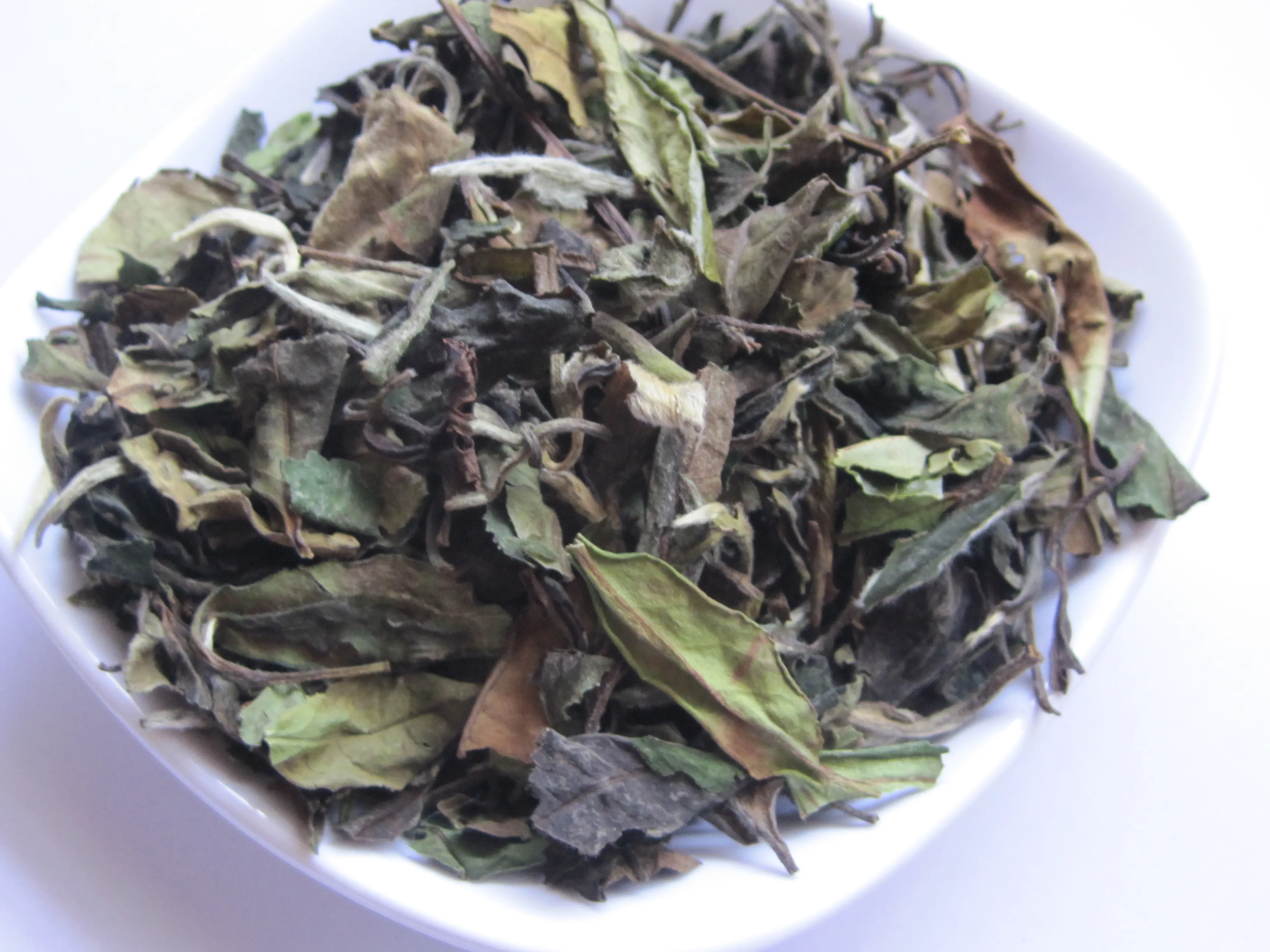 Chinese Eu compliant White tea price fujian White Peony tea