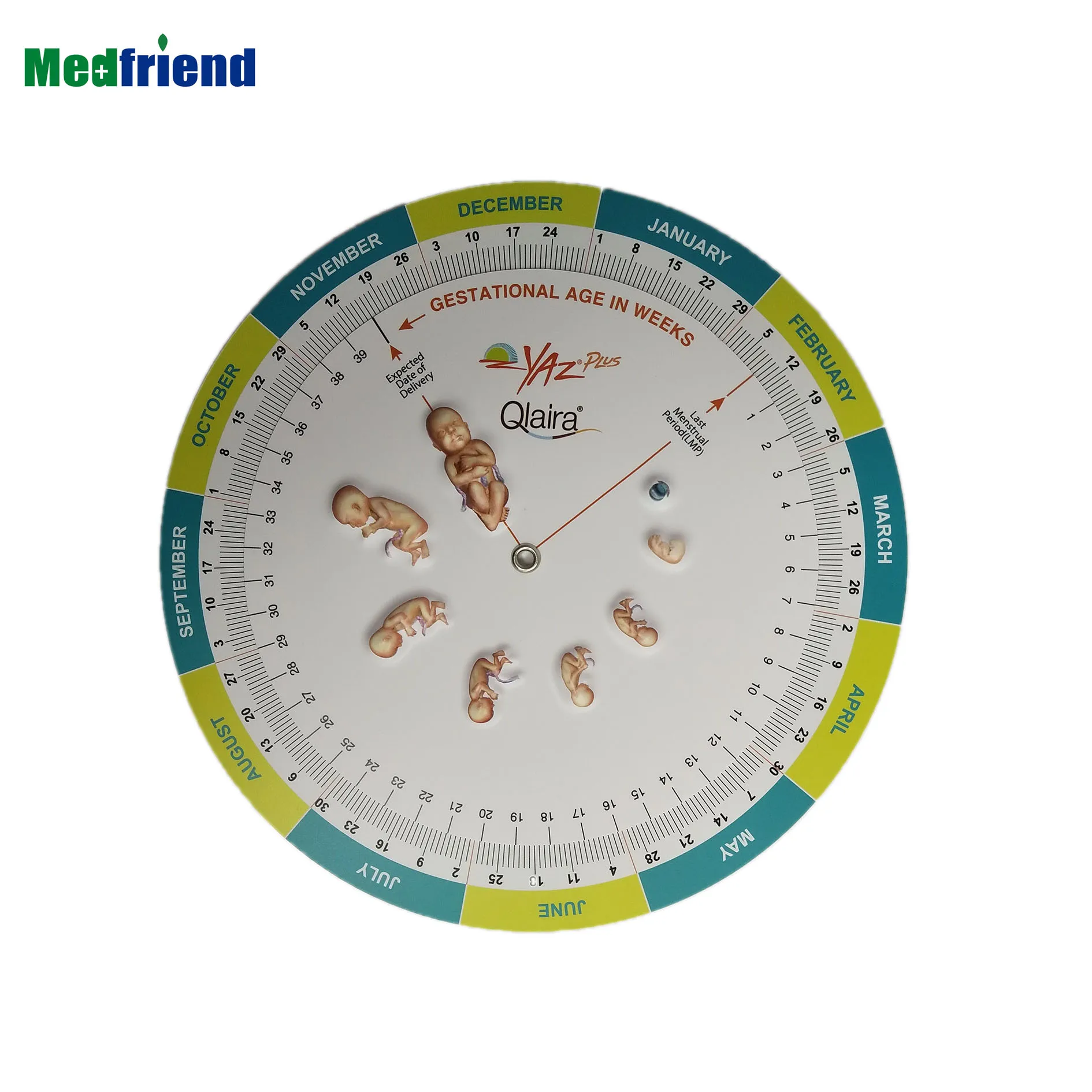 Novelty  Facny  Pregnancy  Due Date Calculator Wheel  with 3D  Embossed  Fetal Development Images