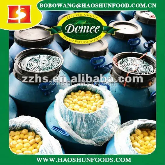 
champignon mushroom in drum 50kg 