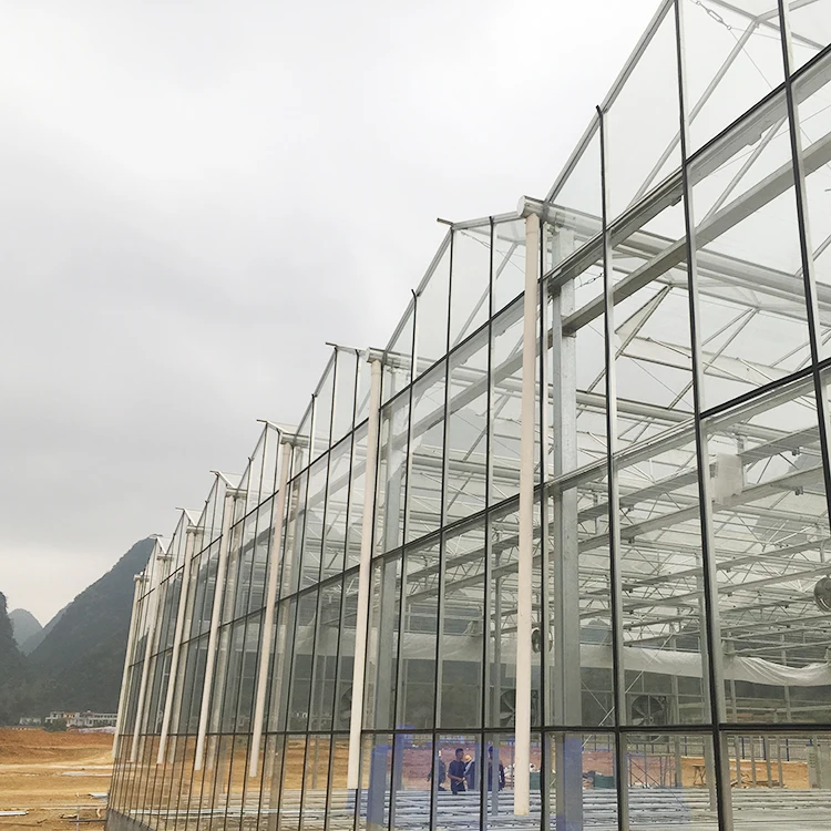 Natural ventilation vegetable seeding nursery glass greenhouse