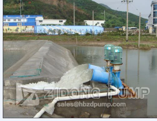 large capacity vertical propeller pump FRP glassfibre material axial flow pump for salty seawater