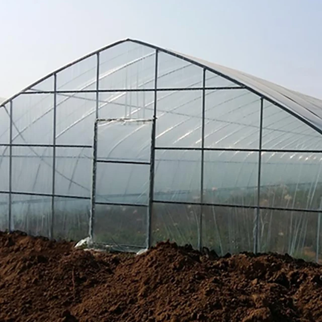 2016 New design Vegetable Fruits Flowers green house High Quality Tunnel Greenhouses