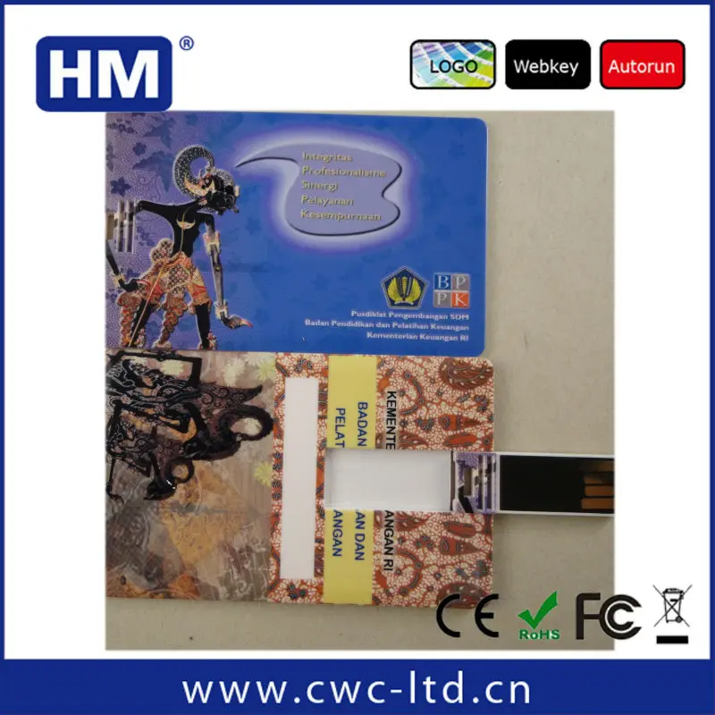 таможня вашей компании логотип визитная карточка usb