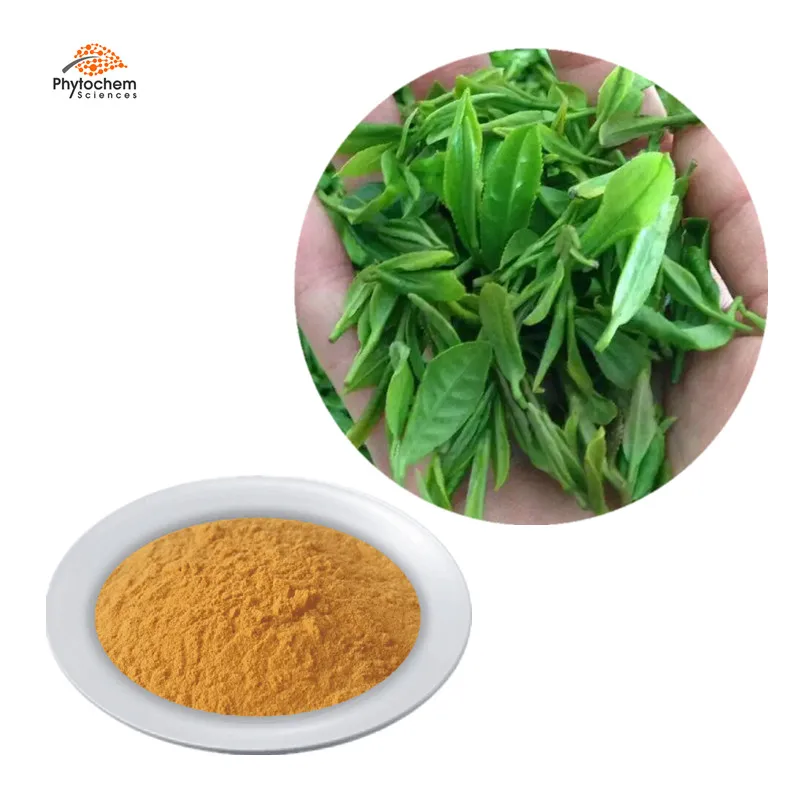 Hot selling slimming high quality white powder 98% green tea extract l-theanine