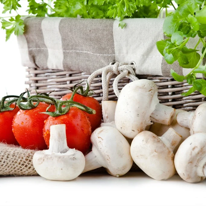 
Zhangzhou SO2 preserved champignon 