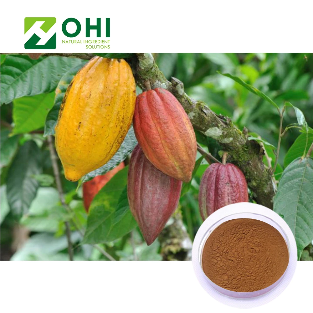 High Quality Cocoa Extract/Raw Organic Cocoa Powder/Black Cocoa Powder
