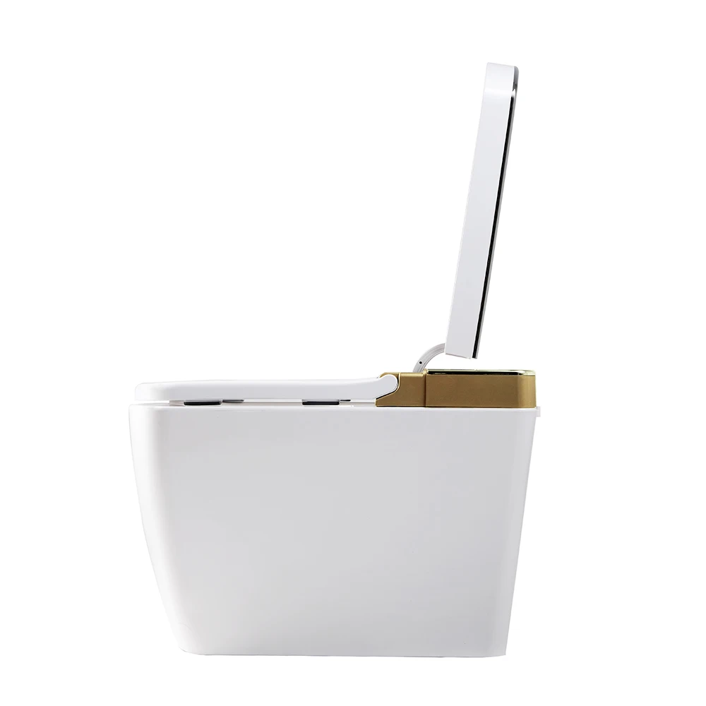 Electric wc gold intelligent bidet smart toilet without tank