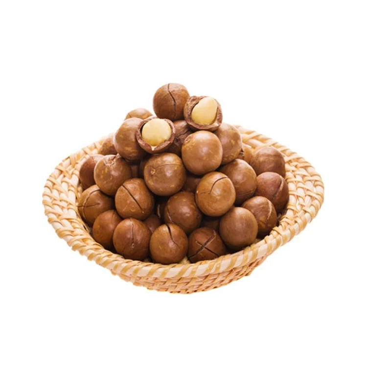  best-selling South Africa Rich nutrition Various size roasted macadamia nuts for sale