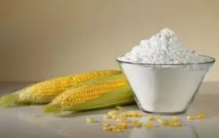 Twin screw extruder modified starch extrusion machine processing line