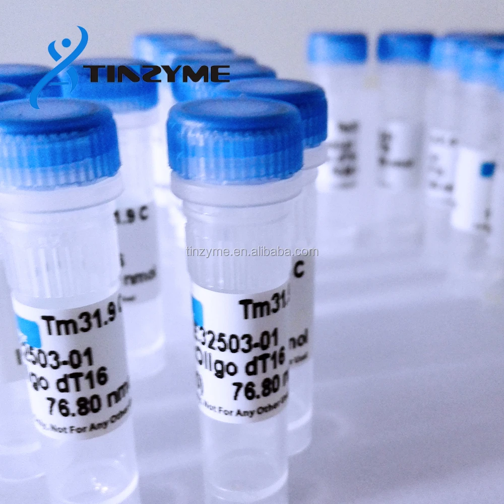 
Custom Oligo synthesis,oligo syntheis service 