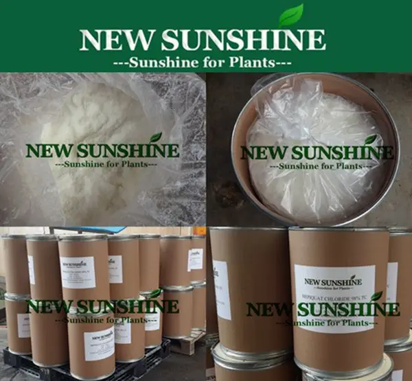Mepiquat Chloride organic agricultural chemicals