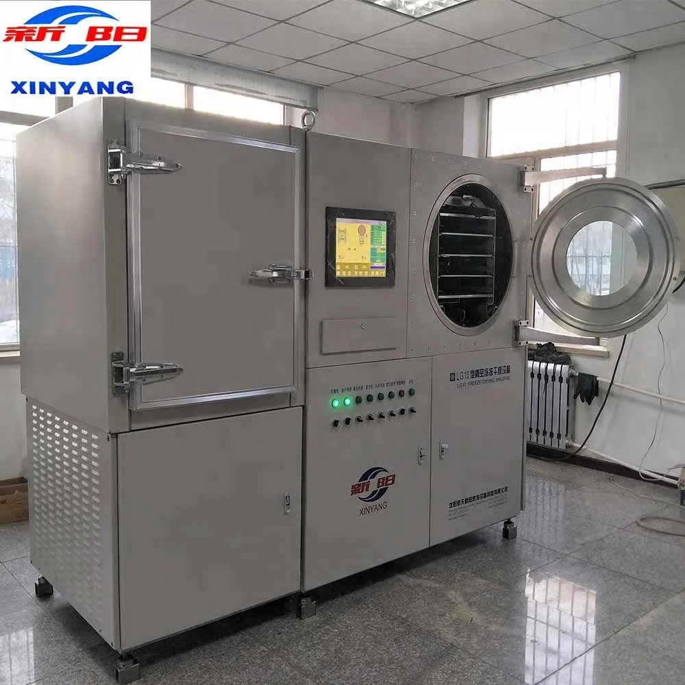 Pilot freeze dryer mini freeze drying machine for research and testing
