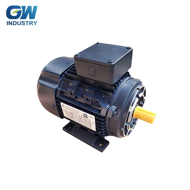 IEC Aluminum Premium 12 volt three phase pussy pump electric motor