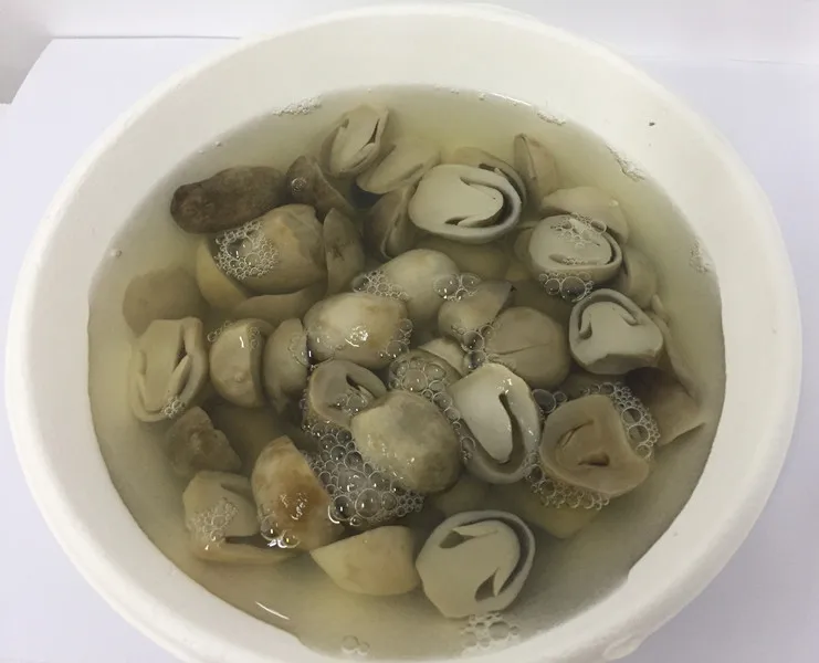 
Best trading business straw mushroom spawn food stuff 