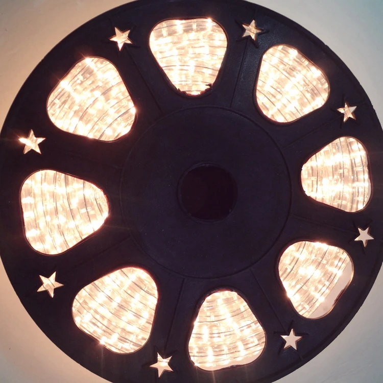 
2020 Christmas OutdoorHigh Brightness Color Changing Led Neon Rope Light Led Ultra Thin Neon Flex Rope Light Neon Rope Light 