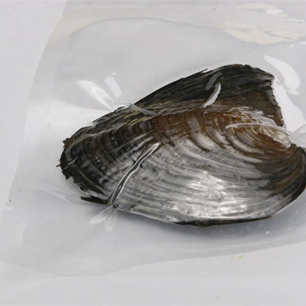  Оптовый пресноводный желаю Устрица с жемчужное 6-8 мм натуральный жемчуг бисер плоский