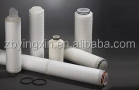 Нейлон мембрана раза картридж фильтр для пищевой асептический фильтрации