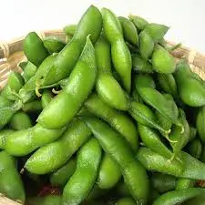 
Frozen Green Edamame Shelled With Good High Quality 