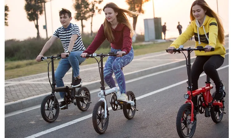 Light weight 5 PAS 36V 250W E Smart Electric  Cycle Bike