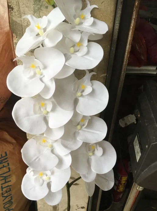 FC4001 9 heads real touch latex flowers artificial white orchids for sale