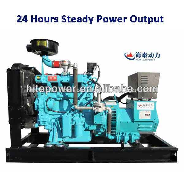 24 часов рабочего дня тэц 20kw cng генераторы