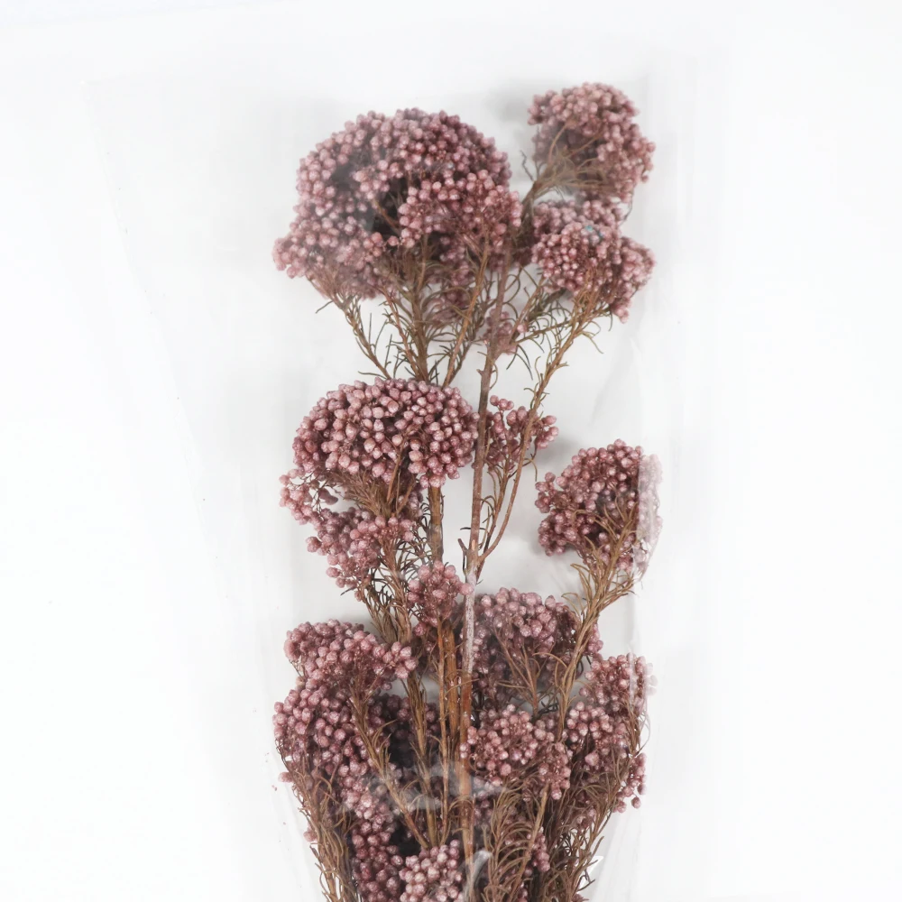 
Preserved Flowers Wholesale from Yunnan 