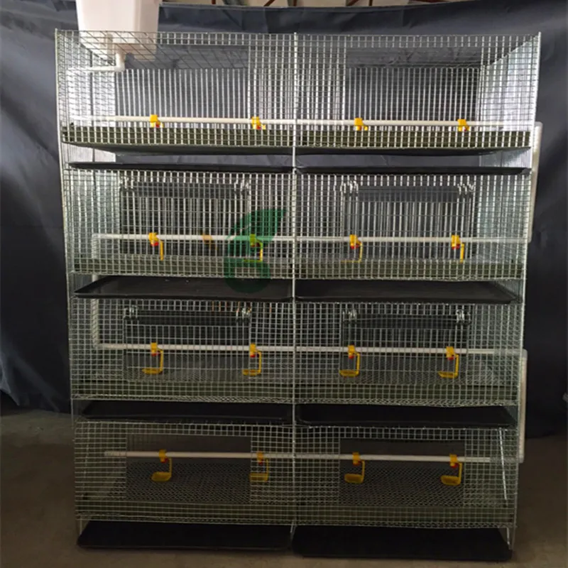 
Полный набор дневной клетки для цыплят для выращивания бройлеров 