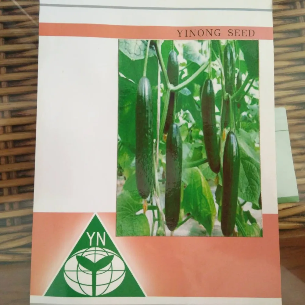 Bright sword f1 hybrid stingless high yield cucumber seeds vegetables for planting