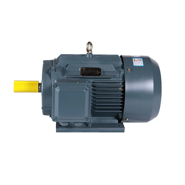 
Excellent Quality 18.5kw 2930rpm YE2 160L-2 three phase electric ac water pump motor made in China 