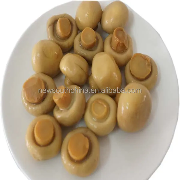 Консервированный полнокнопочный устричный гриб 425 г