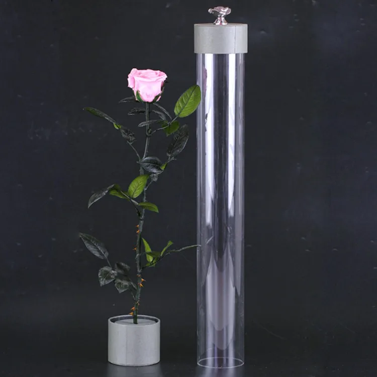 Natural Ecuadorian Roses preserved stem rose with gift box for Valentines Days