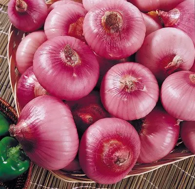 
fresh onions for sale fresh vegetable 