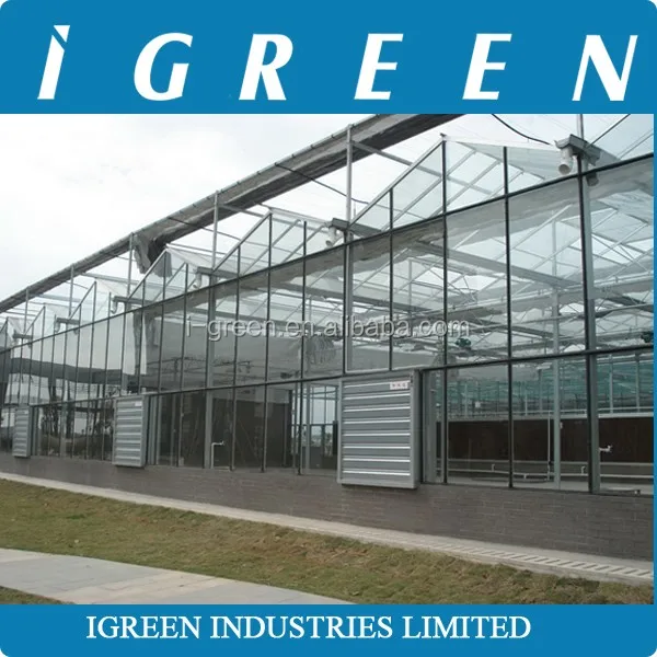 Commercial intelligent glass greenhouse for sale