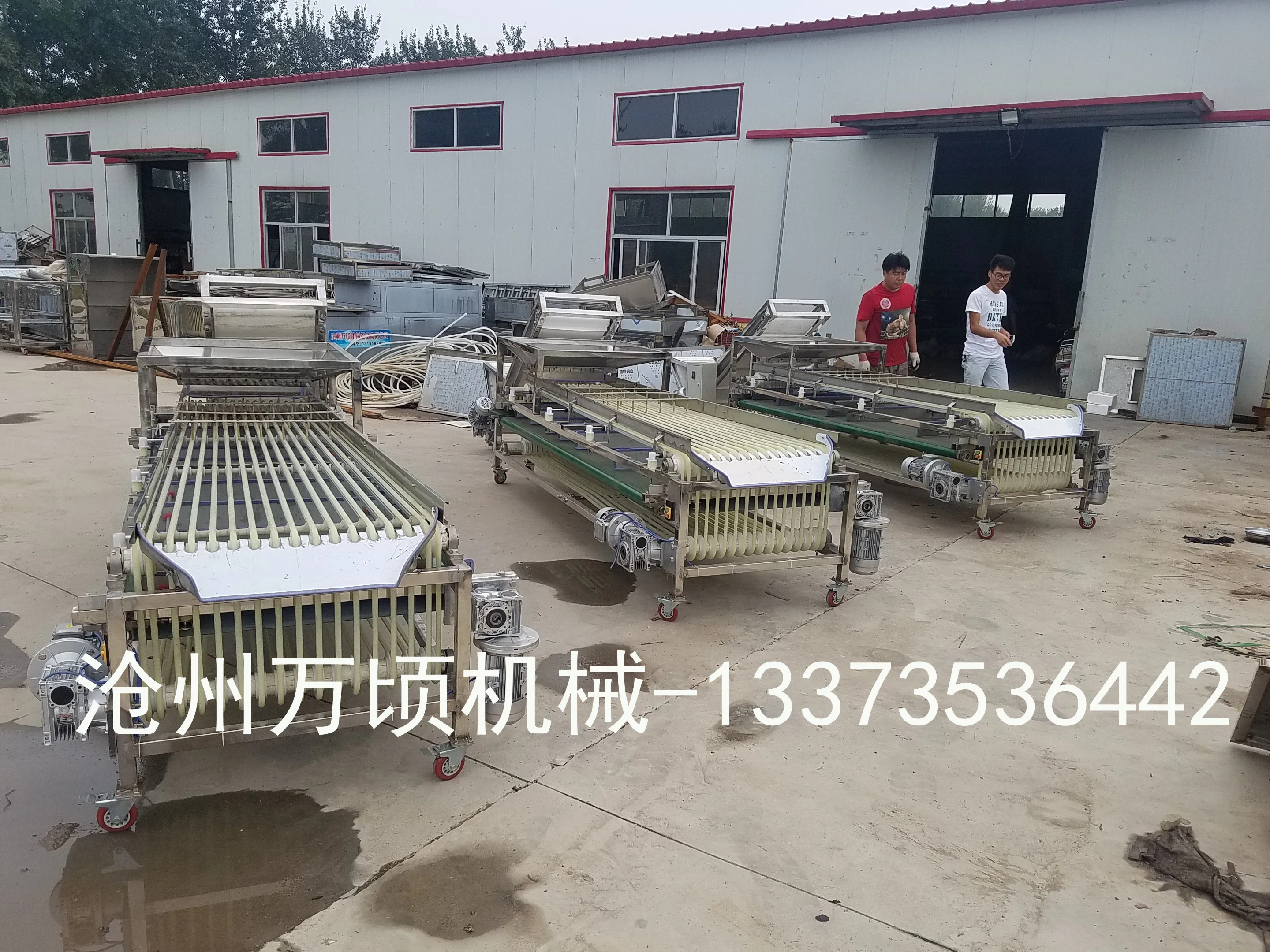 
Sorting machine automatic graded for jujube red dates plums and fruit processing equipment 