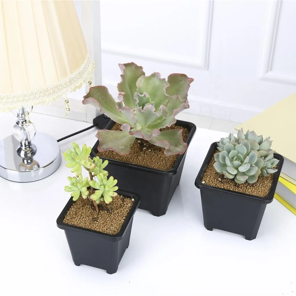 Garden Sets 4 inch Plastic Sedum Crassula Ovata Bonsai Flower Planter Pot in Blulk