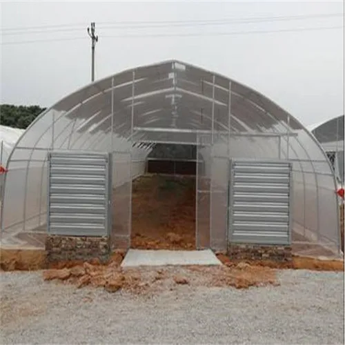 Single tunnel greenhouse for large scale growth