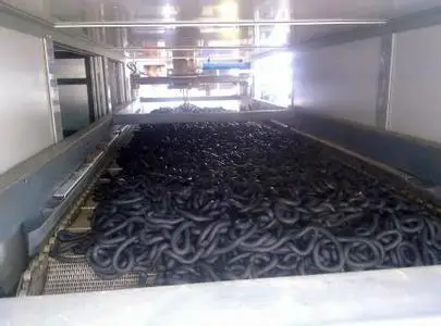 Hot Sale Sludge Drum/Belt Hot Air Drying for Municipal Sludge