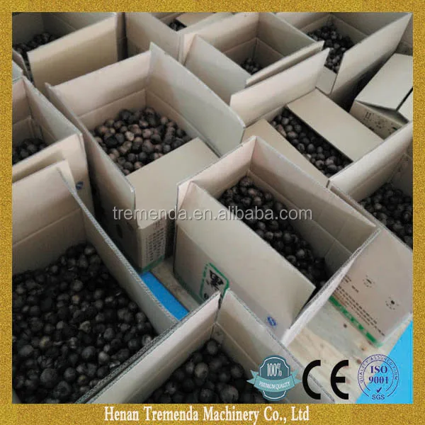 good price black garlic fermenter for sale black garlic fermenting machine