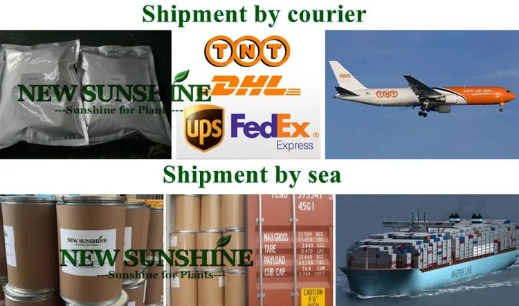 Hot sale Agriculture product 6-Benzylaminopurine 6-BA for plant hormone