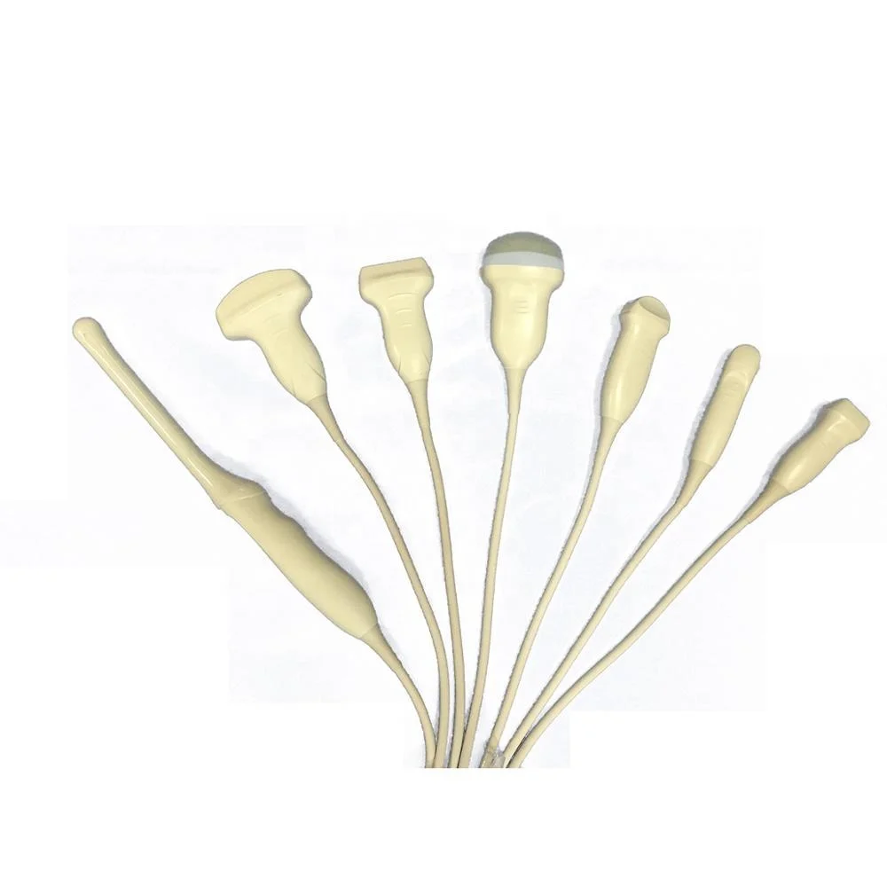 Medical echocardiography machine trolley color doppler ultrasound machine 4D for pregnancy