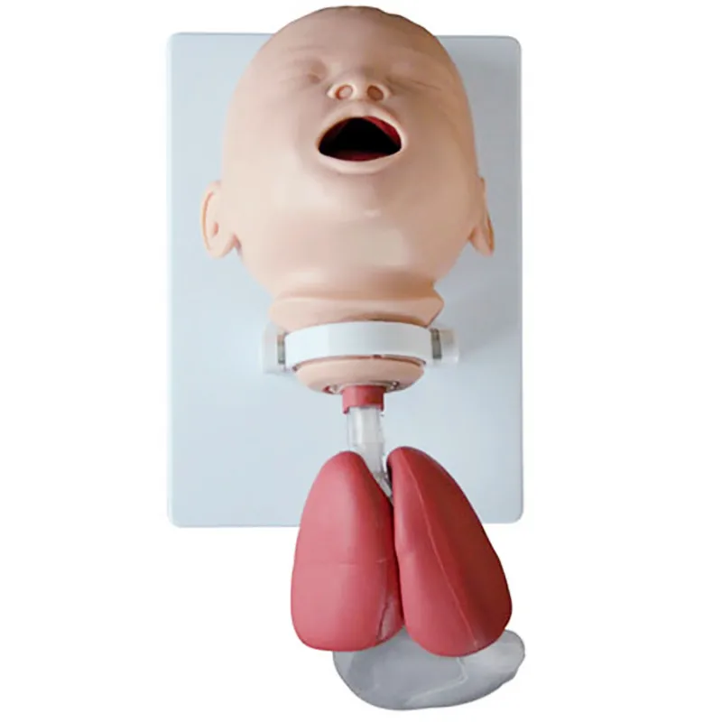 Scientific Medical Educational Advanced Nursing Training Infant Baby Tracheal Intubation Simulator Model